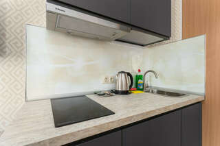 Гостиница Веста Санкт-Петербург Стандартные апартаменты-5